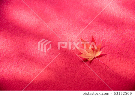 Scarlet rug and red leaves 63152569