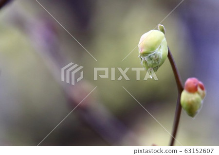 Toshi sickle 63152607