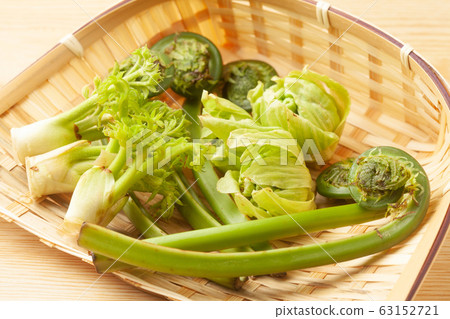 Assorted wild plants 63152721