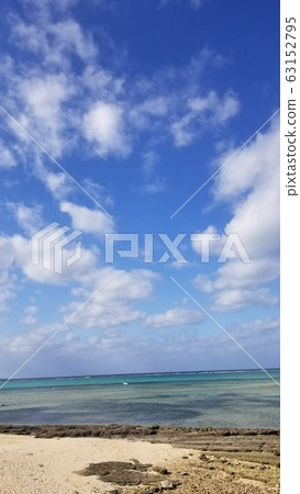 Bise Fukugi trees Bise Fukugi trees 63152795