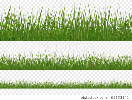 Realistic green grass 63153141