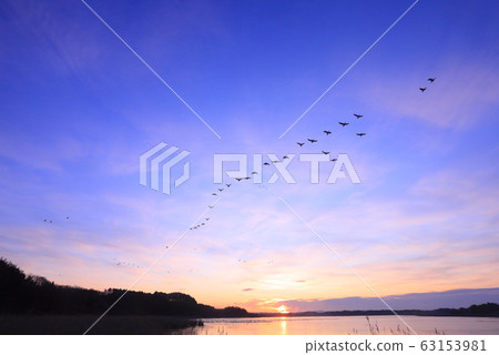 Morning of Izu-numa Morning of Izu-numa 63153981