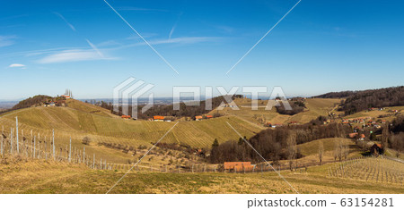 Panorama of Vineyards. Leibnitz area south Styria 63154281