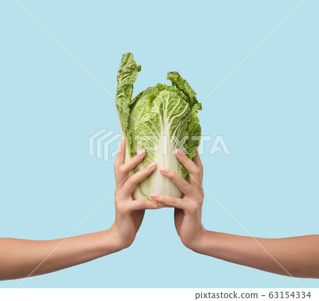 Woman hand holding fresh green chinese Cabbage. Woman hand holding fresh green chinese Cabbage. 63154334