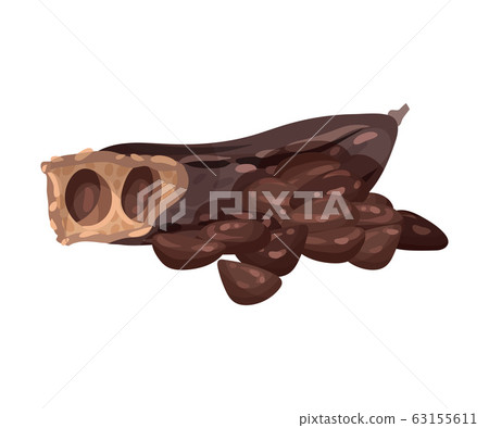 Carob Pod with Seeds Isolated on White Background Vector Illustration 63155611