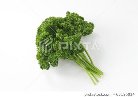 香菜 63156034