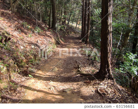 Mountain road 63156681