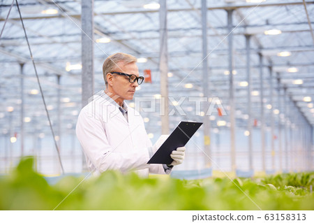Scientist at Vegetable Plantation 63158313