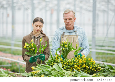 Workers Sorting Flowers in Plantation 63158458