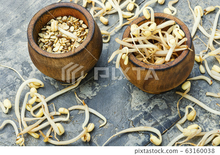 Sprout whole mung dal 63160038
