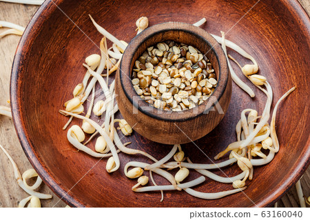 Sprout whole mung dal 63160040