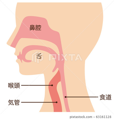 Throat mechanism Throat mechanism 63161128