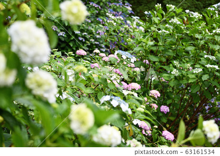 東京日野市市景雨季 63161534