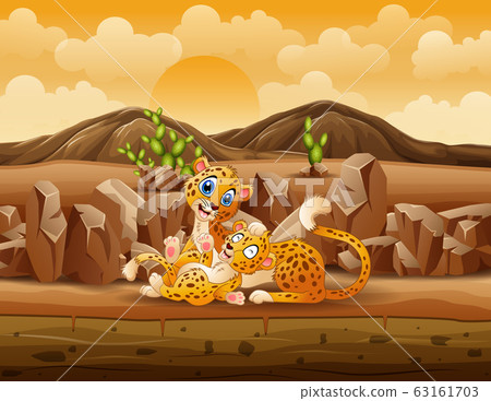 A mother cheetah and cub cheetah playing in the desert A mother cheetah and cub cheetah playing in the desert 63161703