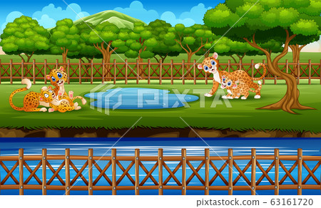 A leopard family enjoying nature in cage A leopard family enjoying nature in cage 63161720