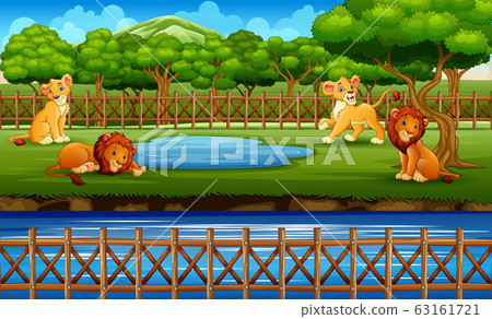 Scene with lions at the open zoo illustration 63161721