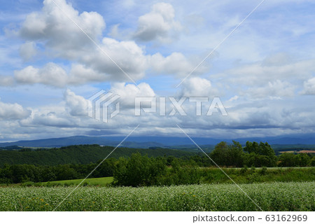 北海道美瑛町的風景 北海道美瑛町的風景 63162969
