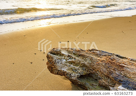 Beach during summer sunset on the tropical island 63163273