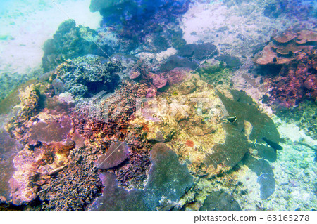 海照片 海照片 63165278