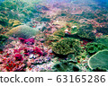 海照片 63165286