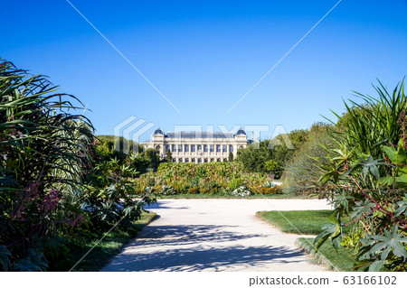 Jardin des plantes Park and museum, Paris, France 63166102
