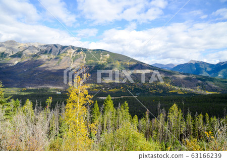 秋季加拿大落基山脈@ Kootenay山谷觀景點(Kooteney National Park-Canada-BC) 秋季加拿大落基山脈@ Kootenay山谷觀景點(Kooteney National Park-Canada-BC) 63166239