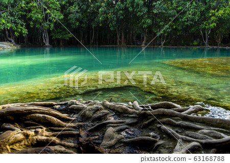 Green water in the forest. Krabi, Thailand. 63168788