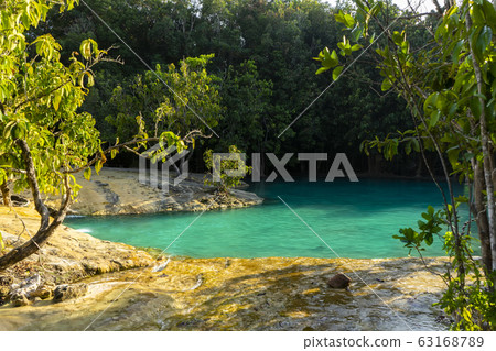 Green water in the forest. Krabi, Thailand. 63168789
