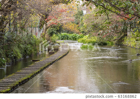三島市的玄北河 三島市的玄北河 63168862