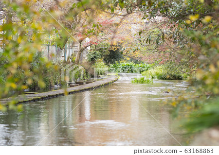 三島市的玄北河 63168863