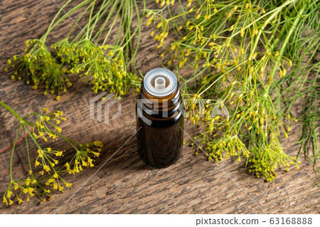 A dark bottle of dill seed oil with fresh blooming dill A dark bottle of dill seed oil with fresh blooming dill 63168888