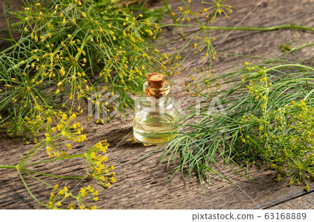 A bottle of dill seed oil with fresh blooming dill 63168889