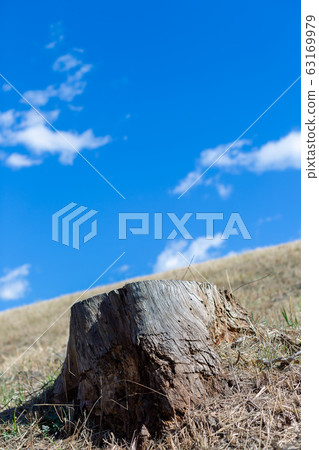 Blue sky and riverbed stump 63169979