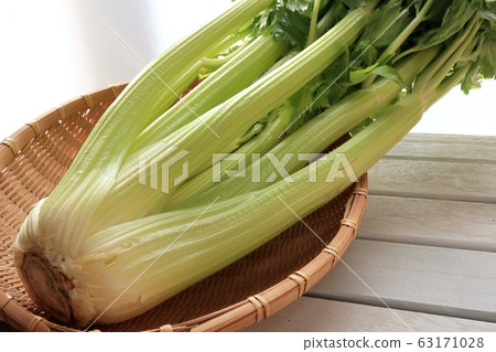 celery- 63171028