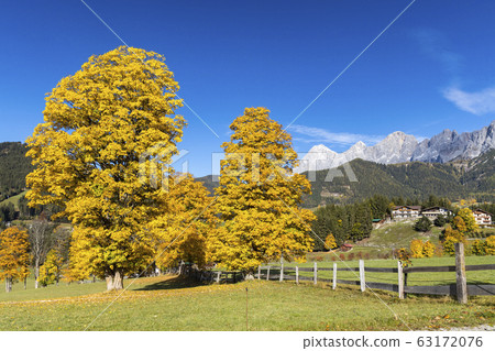 autumn view of Dachstein massif in Austria 63172076