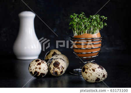 Cress green salad in an egg stand against a dark 63173100