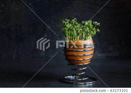 Cress salad in an egg stand 63173101