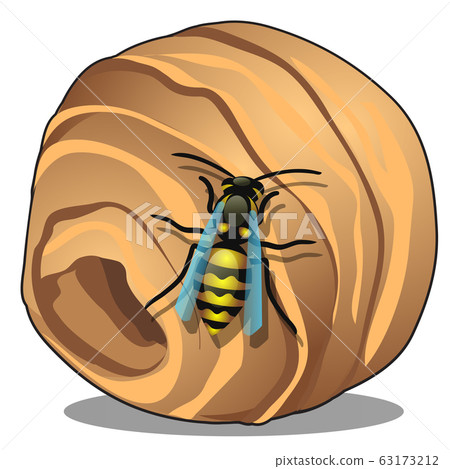 The hornet or wasp nest, vespiary isolated on white background. A hive of wild forest bees. Vector cartoon close-up illustration. The hornet or wasp nest, vespiary isolated on white background. A hive of wild forest bees. Vector cartoon close-up illustration. 63173212