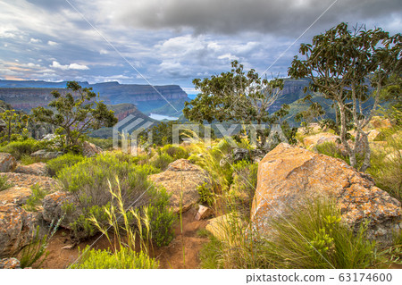 Natural vegetation Blyde river canyon Natural vegetation Blyde river canyon 63174600