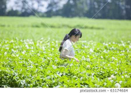 Farm women Farm women 63174684