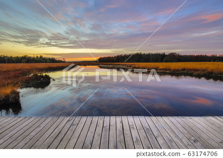 Boardwalk in natural heathland fen Boardwalk in natural heathland fen 63174706
