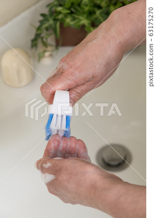 [Pawl brush hand wash] 63175270