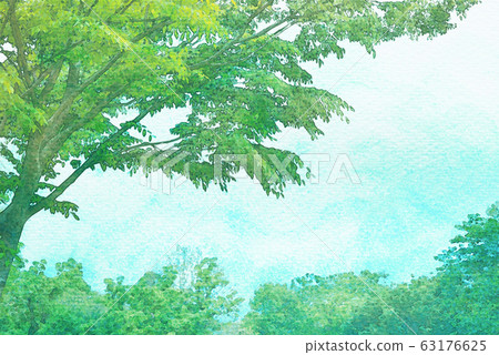 新鮮的綠水顏色 新鮮的綠水顏色 63176625