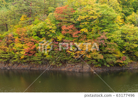 秋天的森林吉山太平湖 63177496