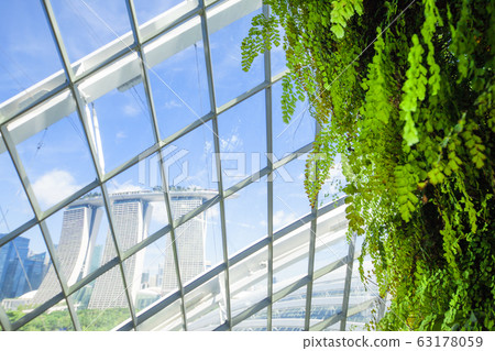 Cloud Forest 10 Cloud Forest 10 63178059