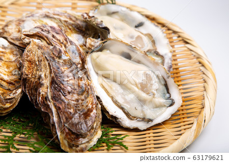 Oysters Ingredients 63179621
