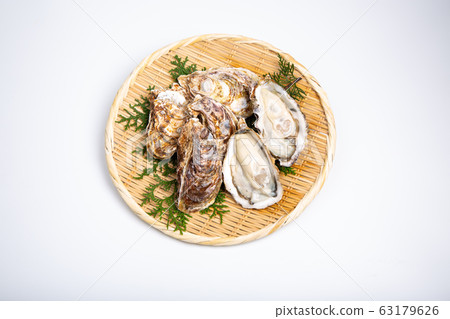 Oysters Ingredients 63179626