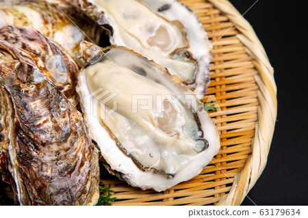 Oysters Ingredients 63179634