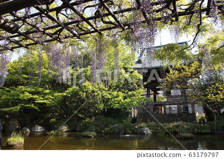 Bell tower and wisteria trellis of Nishiarai Daishi and Sojiji Temple (Adachi Ward, Tokyo) 63179797