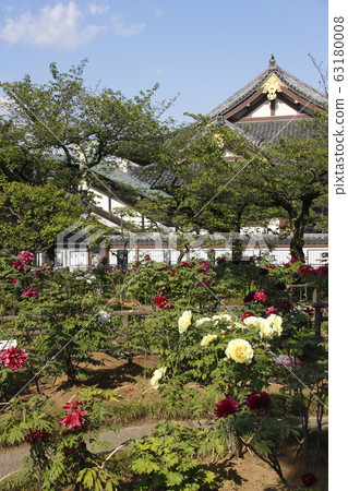 Nishiarai Daishi and Sojiji Temple Botanical Garden (Adachi Ward, Tokyo) 63180008